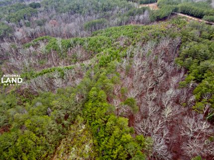 Ranch Property in Blount County, Alabama