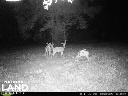 Property in Hardeman County, Tennessee