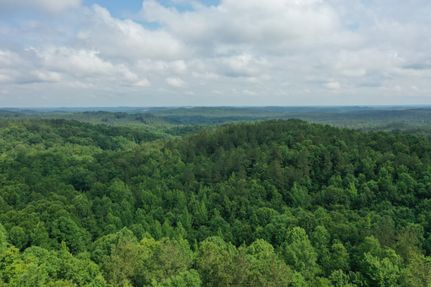 Farm Property in Montgomery County, Mississippi