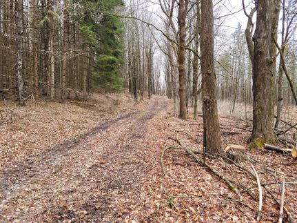 Property in Otsego County, New York