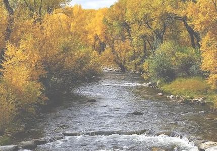 Recreational Property in Park County, Wyoming