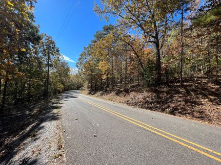 Timberland Property in Calhoun County, Alabama
