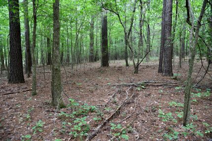 Recreational Property in Marshall County, Kentucky