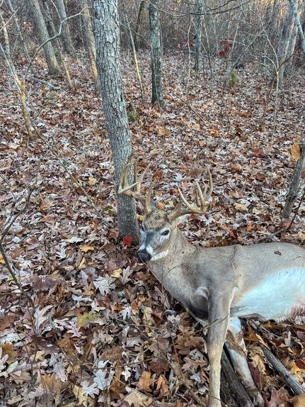 Farm Property in Washington County, Missouri
