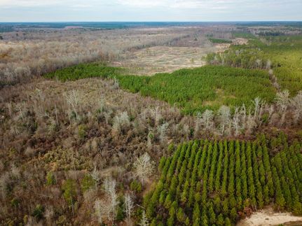 Hunting Land in Bradley County, Arkansas