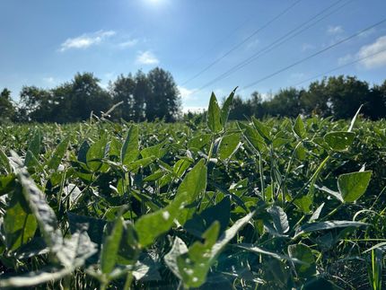 Ranch Property in Brown County, Ohio