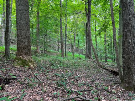 Ranch Property for sale in Ritchie County, West Virginia