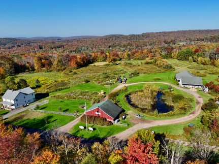 Timberland Property in Sullivan County, New York