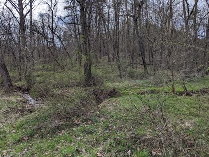 Farm Property in Meigs County, Ohio
