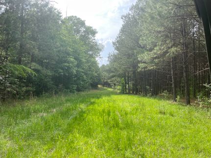 Timberland Property in Ouachita Parish, Louisiana