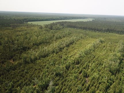 Property in Craven County, North Carolina