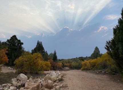 Timberland Property in Sanpete County, Utah