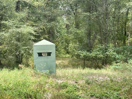 Farm Property in Franklin Parish, Louisiana
