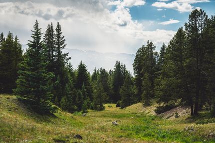 Hunting Land for sale in Lake County, Colorado