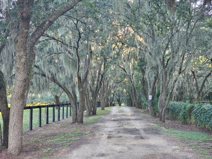 Horse Property in Lake County, Florida