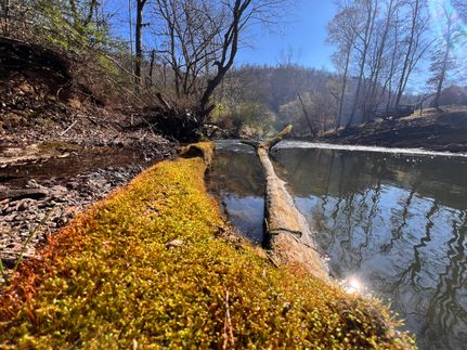 Farm Property in Etowah County, Alabama