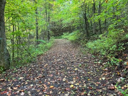 Property in Buncombe County, North Carolina