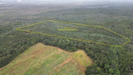 Timberland Property in Baldwin County, Alabama