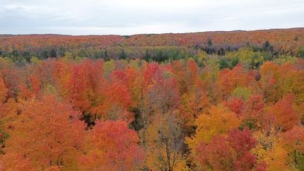 Recreational Property in Wexford County, Michigan