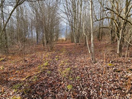 Residential Property in Chenango County, New York