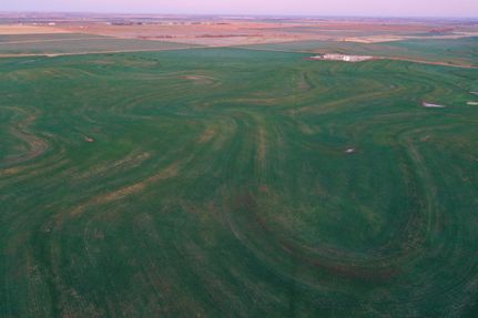 Timberland Property in Alfalfa County, Oklahoma