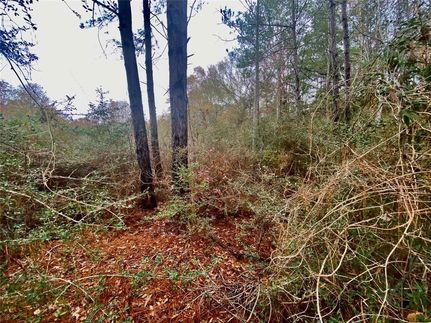 Recreational Property in Tyler County, Texas