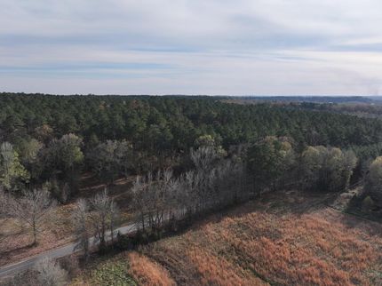 Hunting Land in Clark County, Arkansas