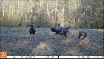 Ranch Property for sale in Shelby County, Alabama