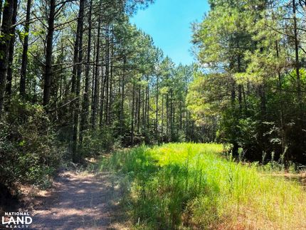 Residential Property in Perry County, Mississippi