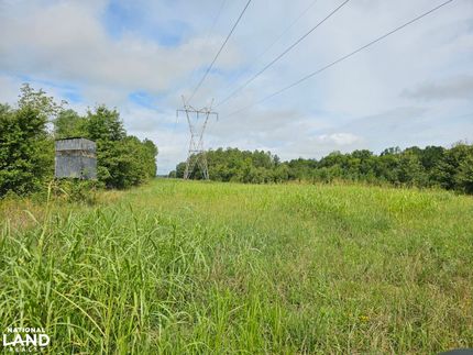 Farm Property in Lawrence County, Alabama