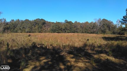Timberland Property in Houston County, Alabama