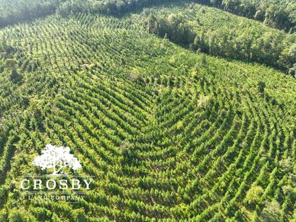 Farm Property in Fairfield County, South Carolina