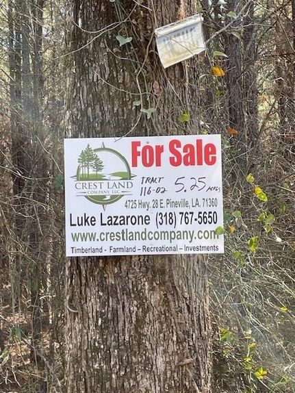 Property in Avoyelles Parish, Louisiana