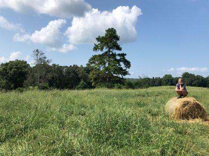 Lakefront Property for sale in Banks County, Georgia