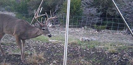 Farm Property in Edwards County, Texas