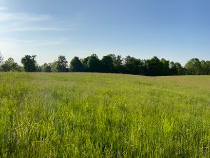 Timberland Property in Morgan County, Ohio