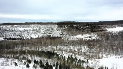 Farm Property in Somerset County, Pennsylvania