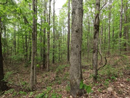 Farm Property in Prentiss County, Mississippi