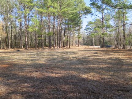Farm Property in Wayne County, Mississippi