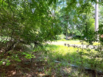 Farm Property in Trinity County, Texas