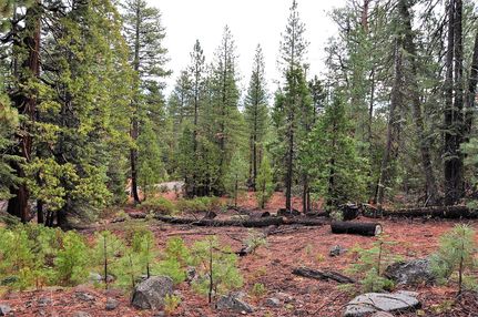 Recreational Property for sale in Modoc County, California