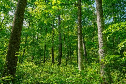 Ranch Property in Lawrence County, Ohio