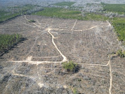 Property in Caldwell Parish, Louisiana