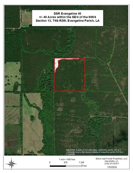 Hunting Land in Evangeline Parish, Louisiana