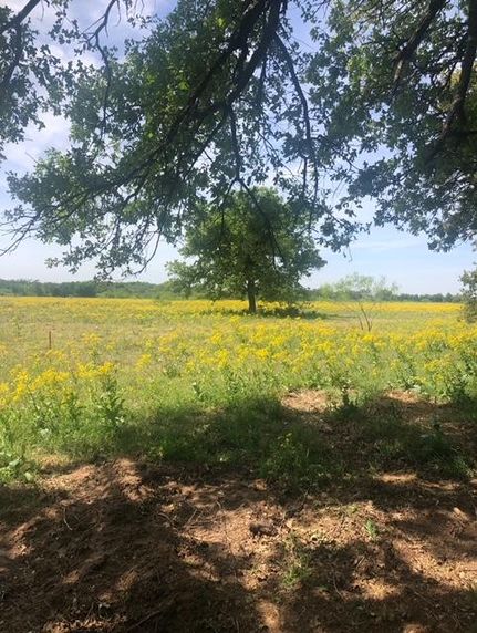 Farm Property in Robertson County, Texas