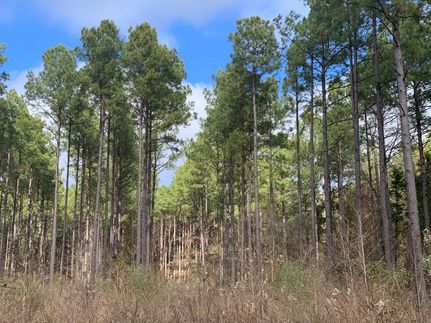 Farm Property in Cass County, Texas