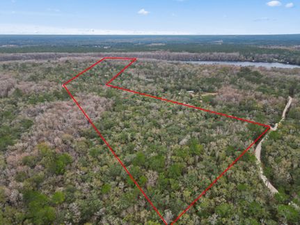 Waterfront Property in Dixie County, Florida