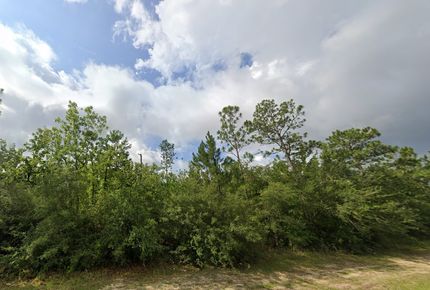Undeveloped Land in Calhoun County, Florida