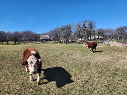 Hunting Land in Parker County, Texas