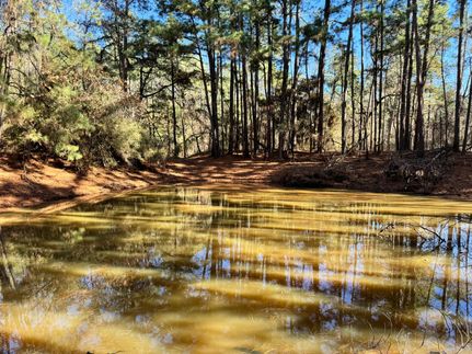 Farm Property in Freestone County, Texas